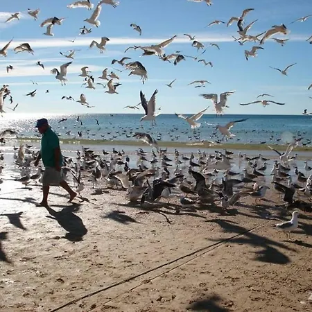 Otilia * Portimao